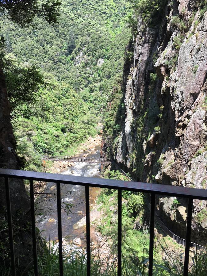 Birds Eye View Bed And Breakfast Waihi Extérieur photo